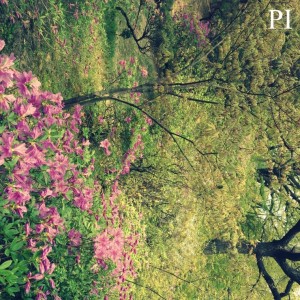 album cover image - 봄
