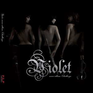 album cover image - Violet Mini Album Challenge