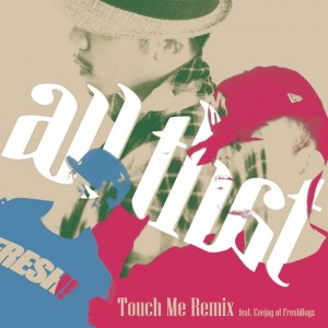 album cover image - Touch Me Remix