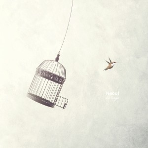album cover image - La Cage