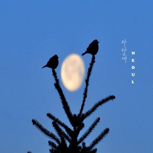 album cover image - 파랑새