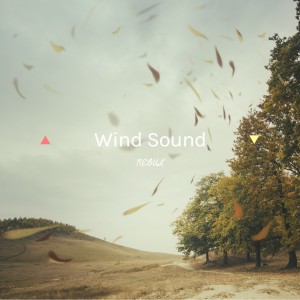 album cover image - Wind Sound