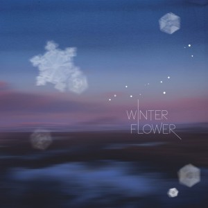 album cover image - Winter flower