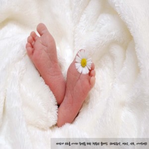 album cover image - 자장가 오르골 아기의 숙면을 위한 행복한 클래식 (태교음악, 명상, 산모, 아기수면)