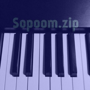 album cover image - Sopoomzip