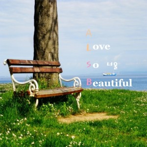 album cover image - A Love So Beautiful