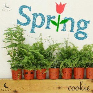 album cover image - The Spring