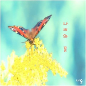 album cover image - 나비와 꽃