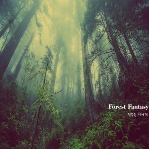 album cover image - Forest Fantasy